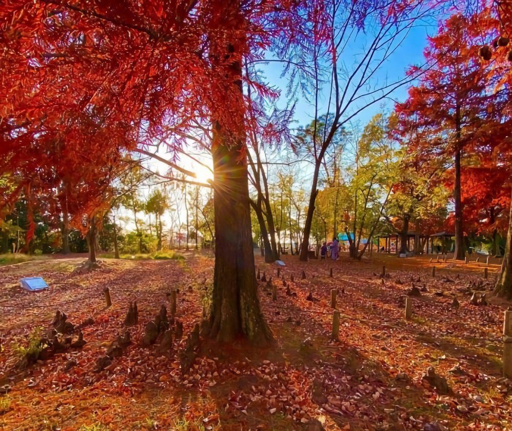 万博纪念公园 Expo ’70 Commemorative Park